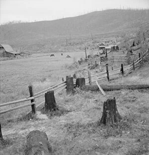 Fence Gallery: Fenced pasture on cut-over farm, Priest River Valley, Bonner County, Idaho, 1939