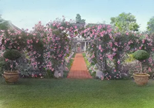 Plant Pot Prints: The Fens, Lorenzo Easton Woodhouse house
