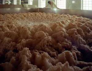 Brewery Prints: Fermenting vessels at Tetleys brewery, Leeds, West Yorkshire, 1968