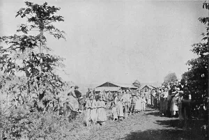 Sudeste Prints: Festa em uma Colonia, (Party in a colony), 1895. Artist: Axel Frick