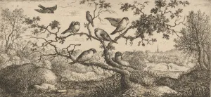 Pyrrhua Europaea Prints: Ficedula, Piuoyne (The Bullfinch): Livre d Oyseaux (Book of Birds), 1655-1660