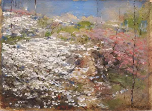 Holmes W H Prints: Field of Blossoms, 1927. Creator: William Henry Holmes