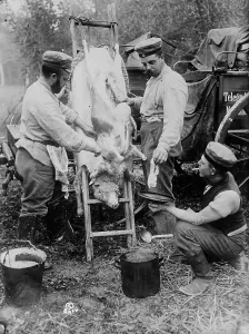 Butcher Prints: Field butcher on firing line, North Sea Coast