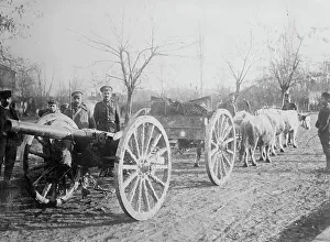 Pulling Cart Prints: Field gun drawn by oxen, Serbia, between c1915 and c1920. Creator: Bain News Service