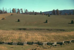 Route Prints: Field of a mountain farm along the Skyline Drive in Virginia