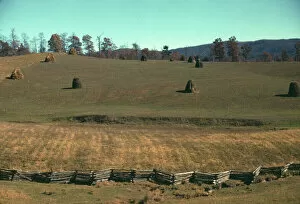 Slides Color Gmgpc Gallery: Field of a mountain farm along the Skyline Drive in Virginia, ca. 1940. Creator: Jack Delano