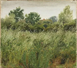 Crop Prints: Field of Oats near Vejby, 1843. Creator: Peter Christian Thamsen Skovgaard