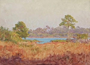 Hoosier Group Prints: Field Study, Florida, date unknown, c1870-1920. Creator: John Ottis Adams