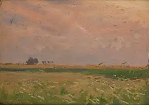 Wild Flower Prints: Fields near Bronowice, 1902. Creator: Jan Stanislawski