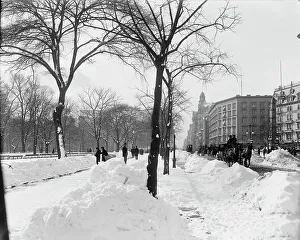 Snowy Prints: Fifth Ave. on a winter morning, New York, N.Y. between 1900 and 1906. Creator: Unknown