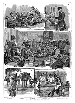 The Fig industry in Smyrna, 1886. Creator: Unknown