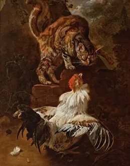 Behaviour Prints: Fight of a Cock and a Cat, 1674. Creator: Jacomo Victors