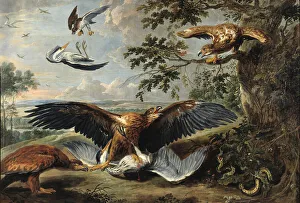 Heron Prints: Fight between Eagles, mid-17th century. Creator: Workshop of Pieter Boel