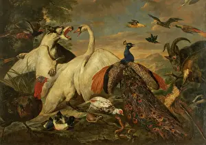 Swan Prints: Fighting Animals as Allegory of the Combat between Virtue and Vice