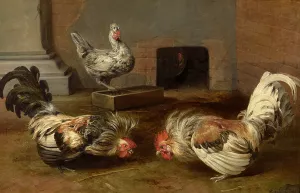 Rooster Prints: Fighting Cocks, c1600-1650. Creator: Frans Snyders