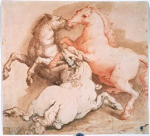 Aggressive Prints: Fighting Horses, c1550-1600. Old Master