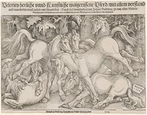 Baldung Baldung Grien Prints: Fighting stallions, 1534. Creator: Baldung (Baldung Grien), Hans (1484-1545)