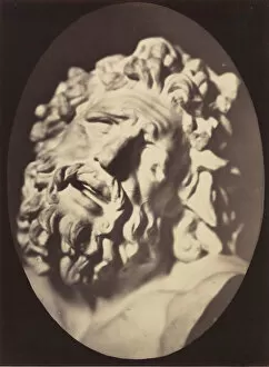 Adrien Tournachon Gallery: Figure 70: Head of the Laocoon of Rome, 1854-56, printed 1862