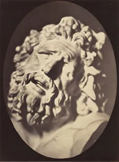 Adrien Tournachon Gallery: Figure 70: Head of the Laocoon of Rome, 1854-56, printed 1862