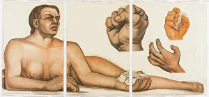 Extraction Prints: Figure Representing the White Race, 1932. Creator: Diego Rivera