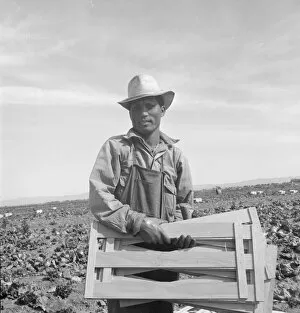 Straw Hat Collection: Filipino lettuce field laborer, Imperial Valley, California, 1939. Creator: Dorothea Lange