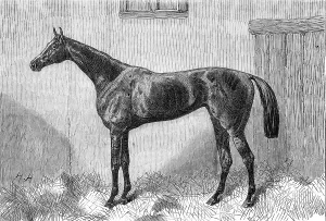 Fille de l'Air, the Winner of the Oaks, 1864. Creator: Unknown