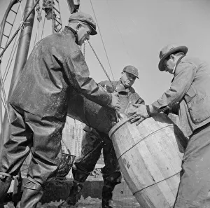 Dockers Gallery: Filling a barrel with codfish at the Fulton fish market, New York, 1943. Creator: Gordon Parks