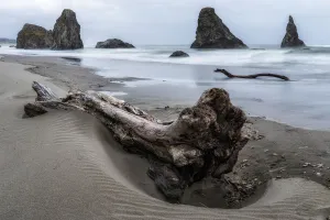 Sand Gallery: Final Resting Place. Creator: Joshua Johnston