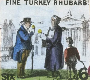 Rhubarb Prints: Fine Turkey Rhubarb!, Cries of London, c1840. Artist: TH Jones