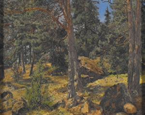 Fir Tree Prints: A Fir Bank, date unknown. Creator: Gottfrid Kallstenius