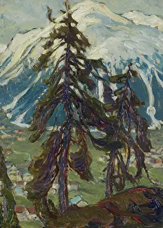 Fir Tree Prints: Fir Trees in front of the Mountains