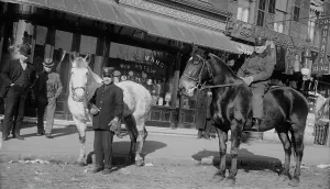 Firefighter Prints: Fire engine horses, between c1910 and c1915. Creator: Bain News Service