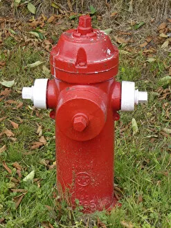 British Columbia Gallery: Fire Hydrant in British Columbia, Canada. Creator: Unknown