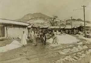 Journey Collection: First arrival pack horses, Seoul, bound north, c1904. Creator: Robert Lee Dunn