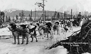 Nome Alaska United States Prints: First dog team to go from Nome to Seward, between c1900 and c1930. Creator:s Sexton