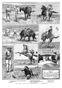 Cowboy Prints: My First and Last Experience of a Broncho, 1891. Creator: Unknown