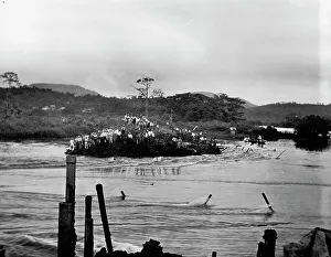 Dike Prints: First rush of water through Gamboa dyke