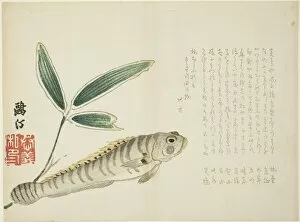 Bamboo Gallery: Fish and Bamboo, Japan, 1860s. Creator: Maezawa Otei