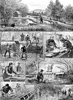 Aprons Prints: Fish-breeding; a Surrey trout-farm, 1890. Creator: Unknown
