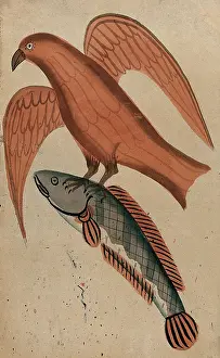 Kalighat Prints: A fish being carried off by a bird. Creator: Unknown