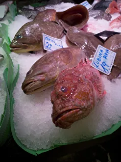 Cataluna Prints: Fish at La Bouqueria, Barcelona, Spain, 2020. Creator: Ethel Davies