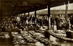 Valentines Prints: The Fish Market, Aberdeen, late 19th-early 20th century. Creator: Unknown