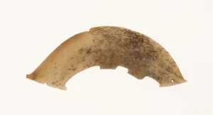 Fish Pendant, Western Zhou period, 11th / 10th century B. C. Creator: Unknown