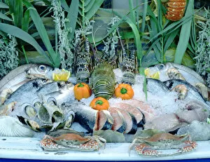 Peter Thompson Gallery: Fish Restaurant Display, Rethymnon, Crete, Greece
