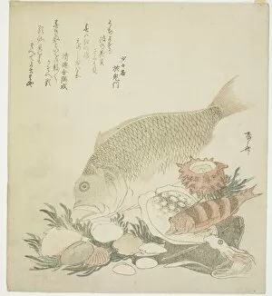 Shells Gallery: Fish and shells, 1821. Creator: Shinsai