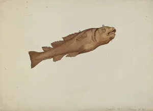 Joseph Goldberg Prints: Fish Shop Sign, c. 1938. Creator: Joseph Goldberg