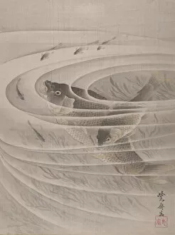 Natural Phenomena Collection: Fish in a Whirlpool, ca. 1887. Creator: Kawanabe Kyosai