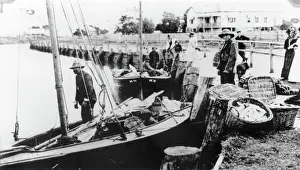 Local Industry Prints: Fishermen unloading their catch from boats at Wynnum Creek, 1907. Creator: Unknown