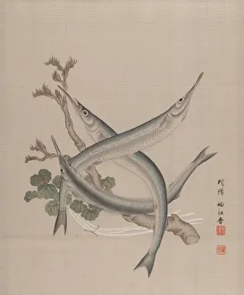 Album Lea Prints: Three Fishes and a Branch, ca. 1890-92. Creator: Seki Shuko