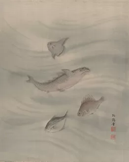 Album Leaf Gallery: Fishes, ca. 1890-92. Creator: Seki Shuko